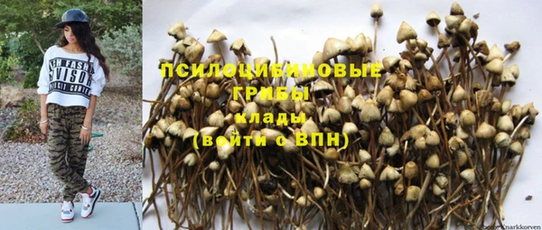 прущие грибы Балахна
