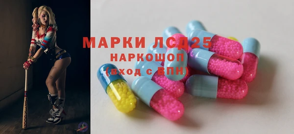 прущие грибы Балахна