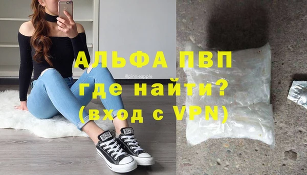 прущие грибы Балахна