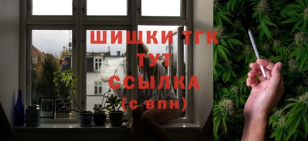 прущие грибы Балахна