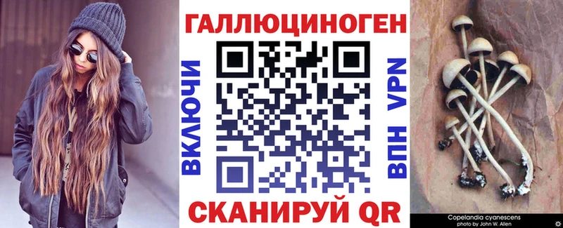 Галлюциногенные грибы Psilocybe  Ветлуга 